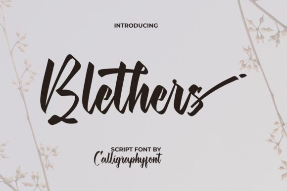 Blethers Font: Elevating Campaign Visuals with Elegant Script