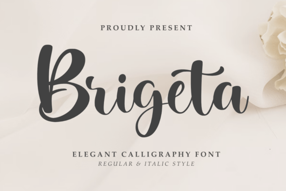 Brigeta Font: Elevating Editorial Design and Layouts
