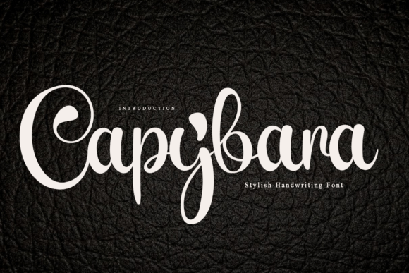 Capybara Font: A Handwritten Typeface for Branding