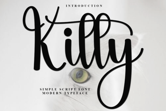 Kitty Font: Adding Soft Character to Web Layouts