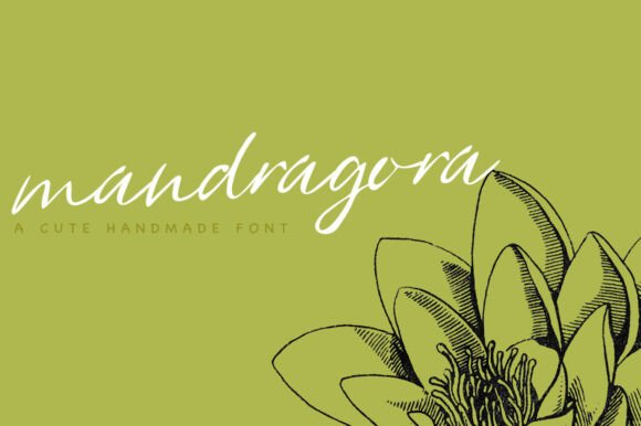 Mandragora Font: Sweet Script for Crafters