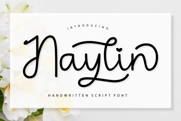 Naylin Font: Elevating Small Business Brand Identity