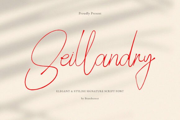 Seillandry Font: Elegant Script for Handmade Products